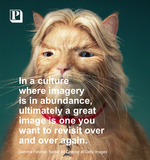 Amanda Flowers (@mandmccormick) on Twitter photo 