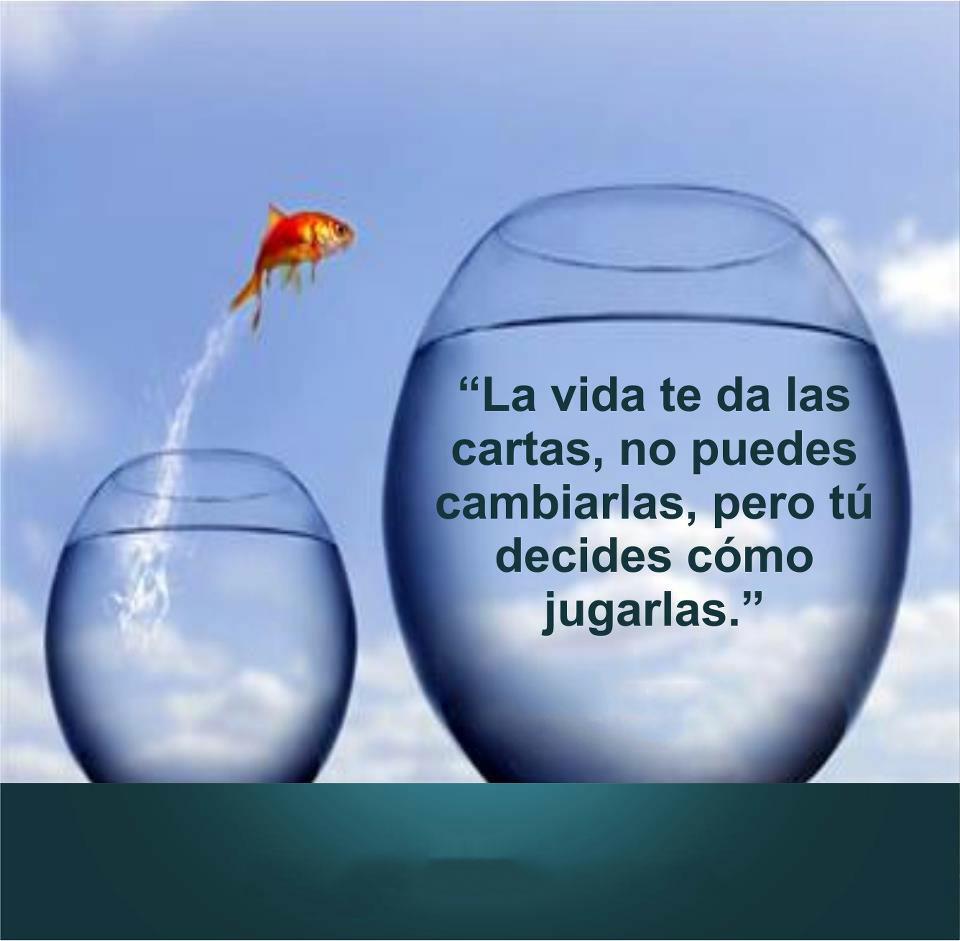 Rocio Pitel Flores (@pitelrocio) on Twitter photo 