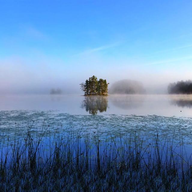 YMCACampWarren's tweet photo. Foggy Morning #campwarren #fog #island http://t.co/v5uL13oYa0 http://t.co/woexHXY4bP