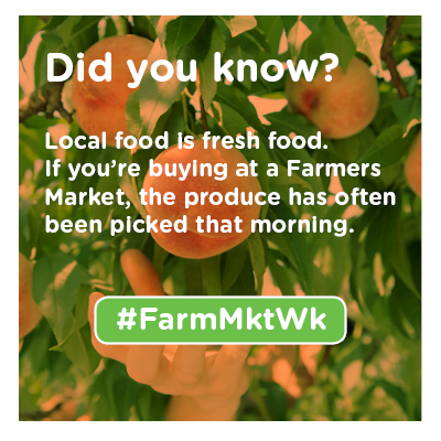 UTTSUExt's tweet photo. #FarmMktWk http://t.co/WNsKZEvAKl
