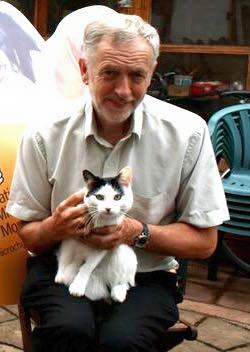 rowleywaycat's tweet photo. Comrades @NyxTheNightCat @tiddlesfry @BigWidu @greeboblackcat @MrGingerCat #catsforcorbyn #wlf http://t.co/056h7LEKrn