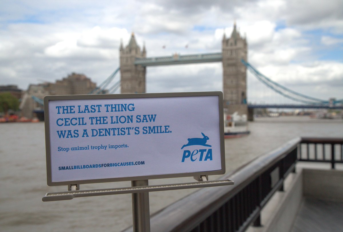 smallbillboards's tweet photo. @guardianeco Check this out! mini billboards around the world are talking about it! #SmallBillboards http://t.co/CbeYwcrdla