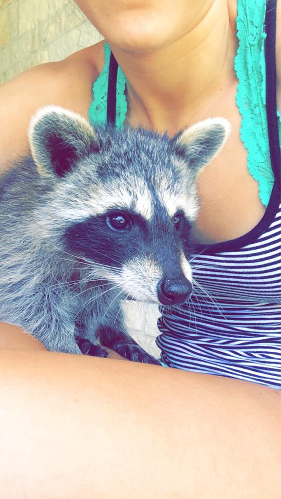 kylanferguson's tweet photo. Welcome to my zoo #missinmygoons #crazycoonlady #sosuperfly #Ethal/Boomer http://t.co/sNzidbjqQ1