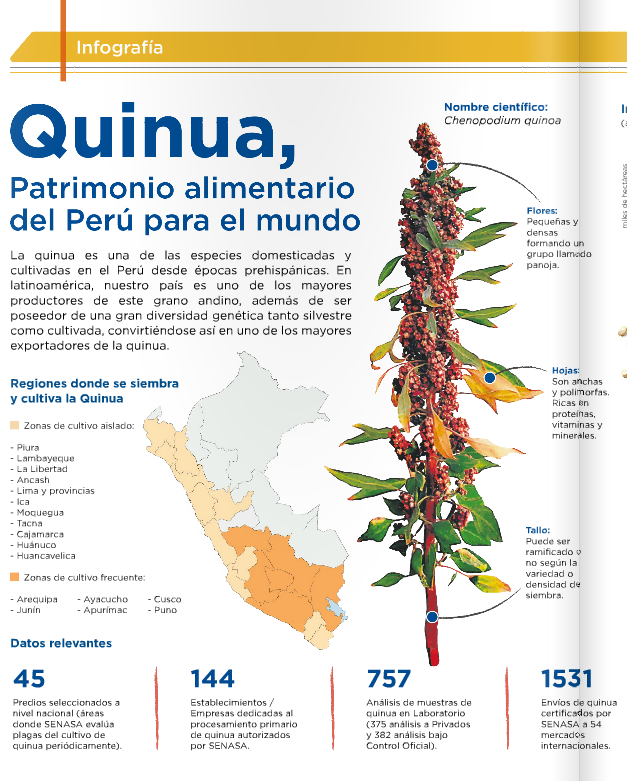 Senasa_Peru's tweet photo. #Quinua, patrimonio alimentario del Perú para el mundo
Los detalles en nuestro boletín → http://t.co/cL446Paz3j http://t.co/s09aDuy1F7