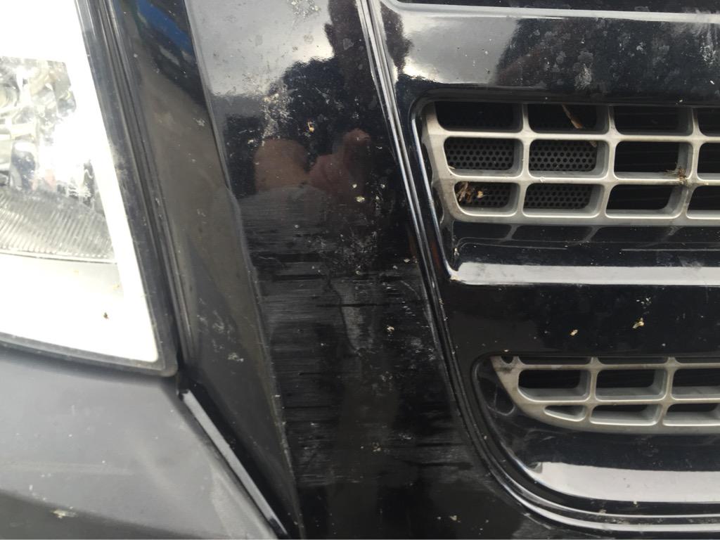 Look what bobs done arrr