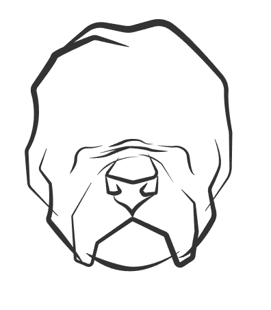 Big_E's tweet photo. Starting some messy line-work for structure! What is it?! #SavageWraps http://t.co/jCU1fMkP8j