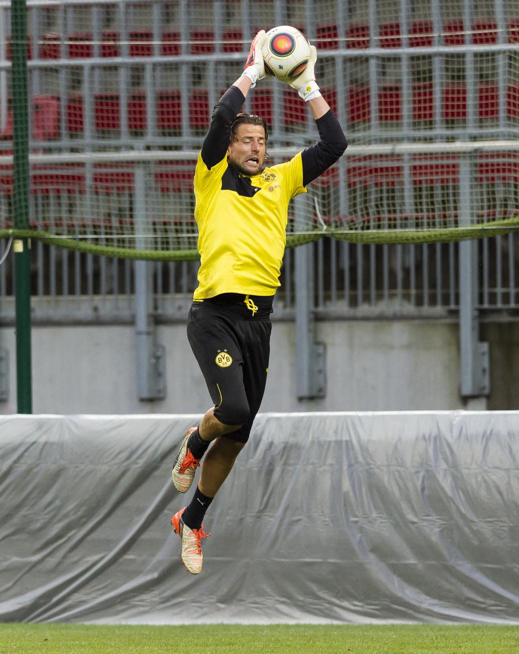 Happy Birthday Roman Weidenfeller (35 tahun) 