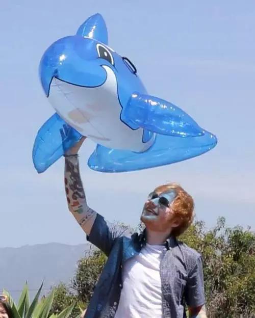 picsheeran tweet picture