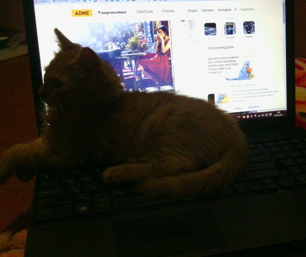 mybugurt's tweet image. 