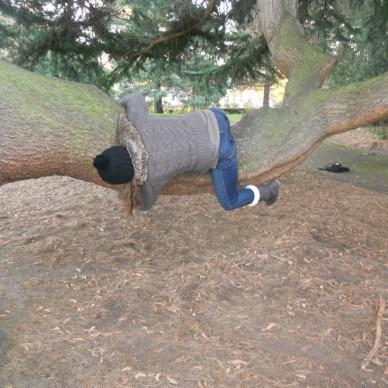 Pour un #TreeHug réussi, vous pouvez le faire en solo, duo ou en groupe ...