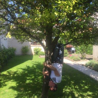 Pour un #TreeHug réussi, vous pouvez le faire en solo, duo ou en groupe ...