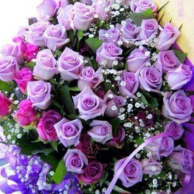 N1Hanan tweet picture