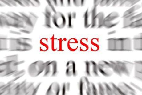 Alimentos que diminuem o estresse silvestrefoliage.com.br/index.php/2015…