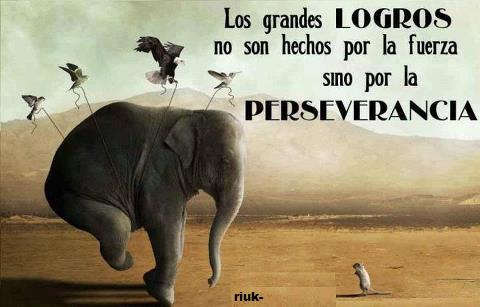 CarmenPPaniccia's tweet image. Si te lo propones,lo #logras. Sigue no te detengas