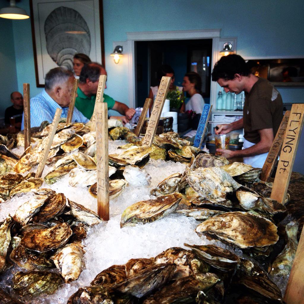 #NationalOysterDay #feelingtheoysterlove