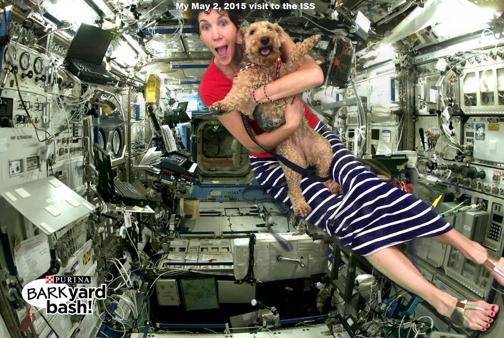 OffTheWallGS's tweet photo. We can go anywhere in the world with our remote #greenscreen technology (and space, too)!
http://t.co/oa30JgTZUg http://t.co/afPjLwZpJF