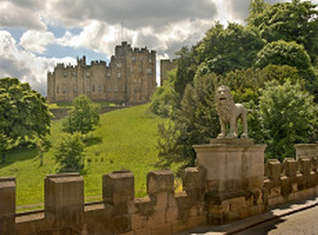 Adamson's Coaches (@adamsonscoaches) on Twitter photo 