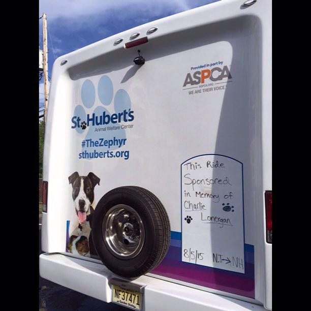 sthubertsanimal's tweet image. #TheZephyr is on the road again! Our friends in New Hampshire had some room, so 70 kittens are on their way!