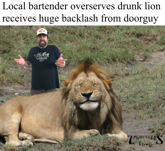 vinnycurran's tweet photo. Dude I couldnt tell how drunk he was Just get him a cab,shutup #biggame #CecilTheLion  #Lion  #theonion #partyanimal http://t.co/SV4ouEHXYE