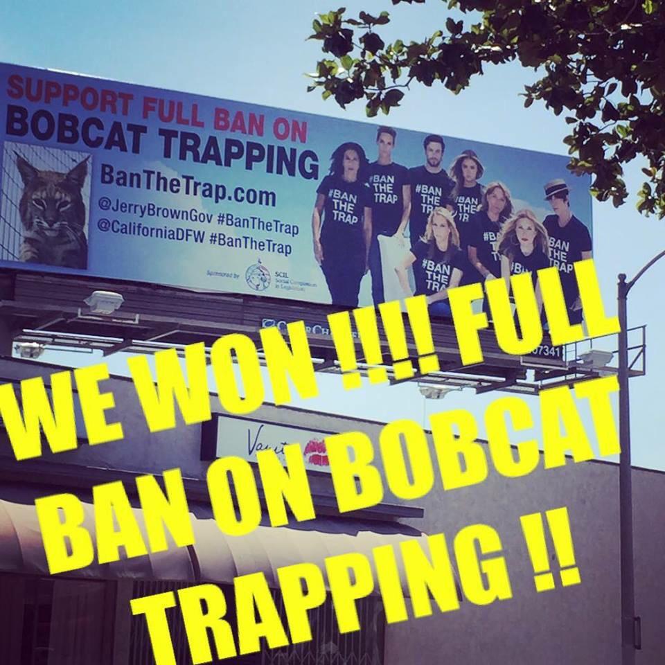 Diane_Warren's tweet photo. "@simonereyes: Thank you ANIMAL RIGHTS SUPERSTAR HERO @Diane_Warren @scil2015 #wewon #banthetrap http://t.co/OKfpx89nl2"YES!!!!