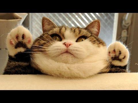 kitty_ghost's tweet photo. http://t.co/jF4Q5atQxx