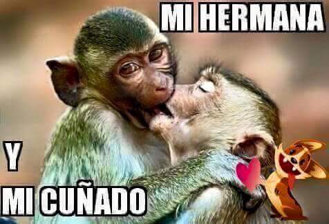 monsegerad's tweet photo. Jajajjajajajaj http://t.co/gtC8TVlm6N