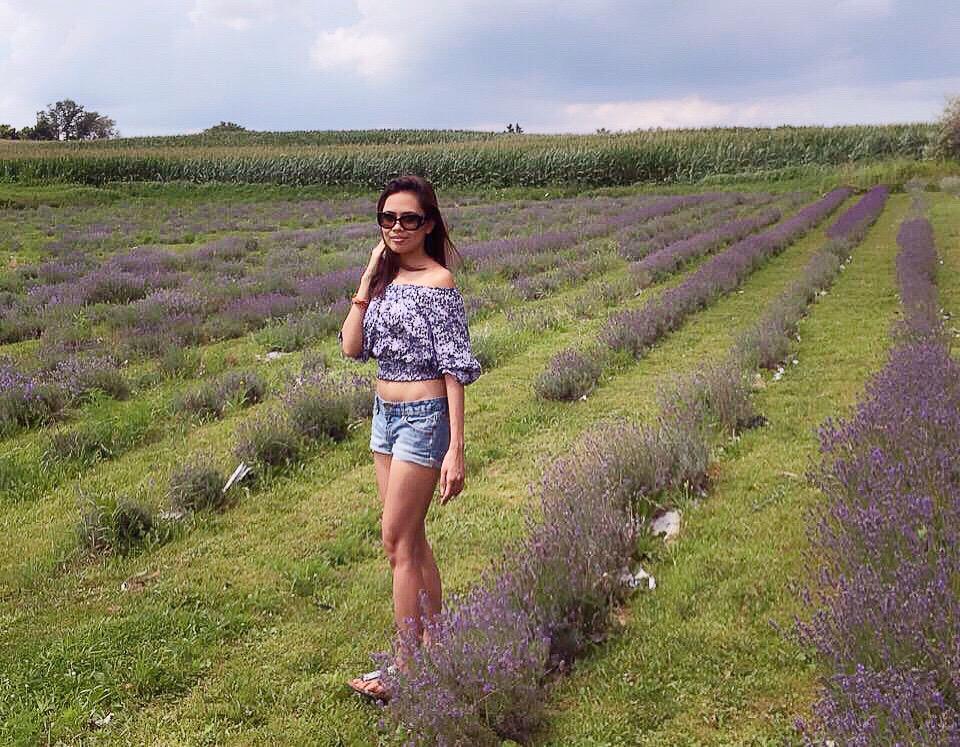 LaMher838's tweet photo. #weirslane #Lavander #lavanderfield #hamont #Canada  🌾❤️🌞 http://t.co/Ejgv0mxNi0