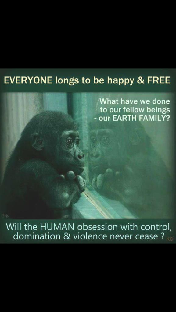 animalrights88's tweet photo. Will ever stop abusing the earth and the magnificent creatures it posses?? #compassion #changetheworld http://t.co/CWLjfz9Hpf