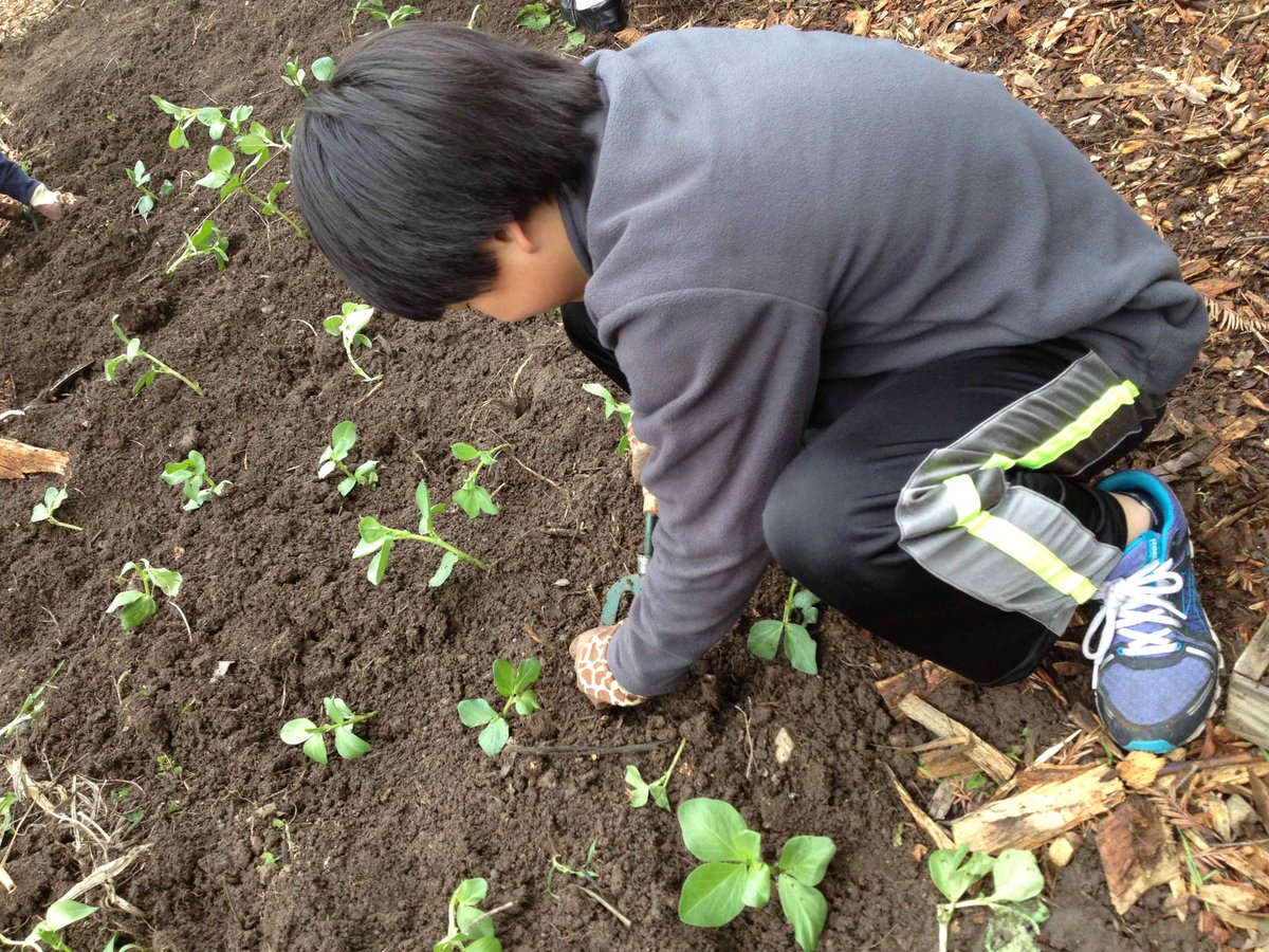 CommonGroundPA's tweet photo. There are 8 values in #sustainability in #GROWBIOINTENSIVE® #homesteading. Do you use them? http://t.co/zenZiWCq3B http://t.co/w48joxeIoc