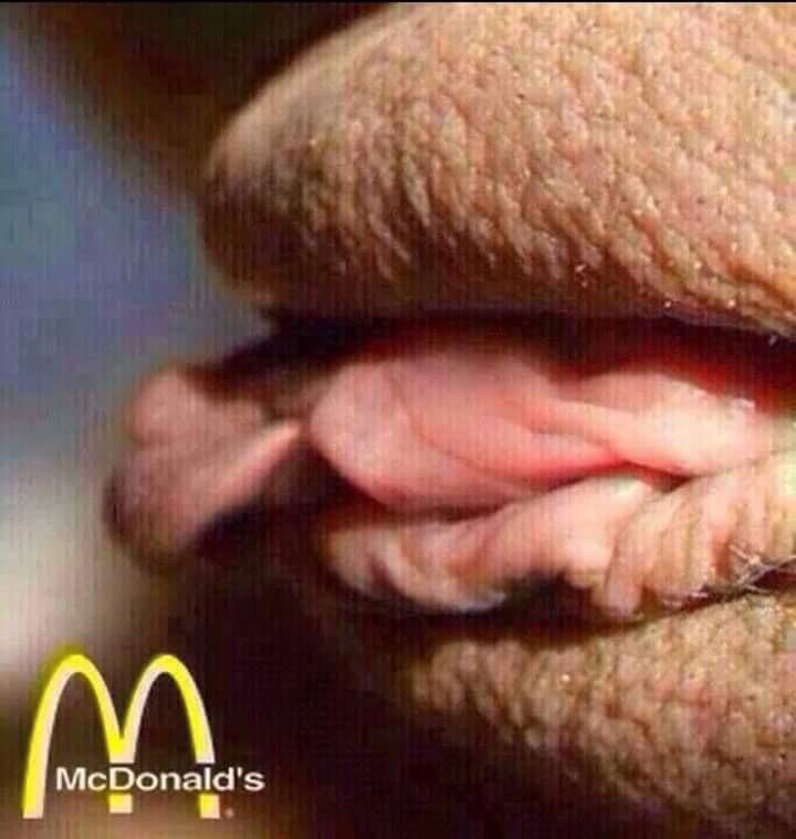 hamburger pussy Пизда гамбургер