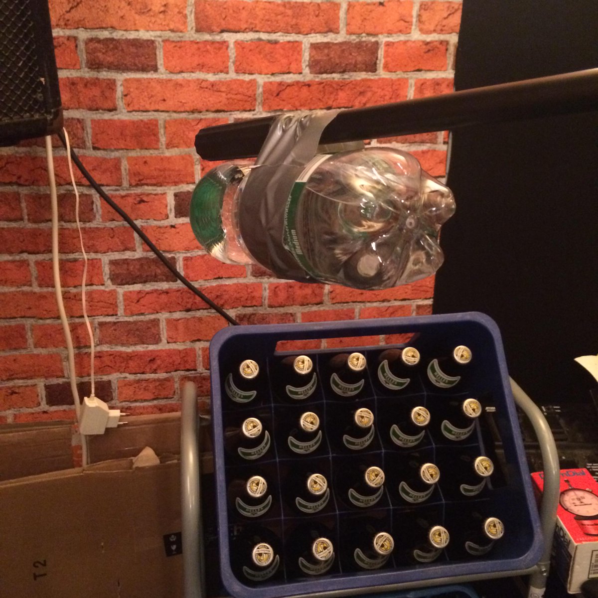 brain-on-a-stick tweet media