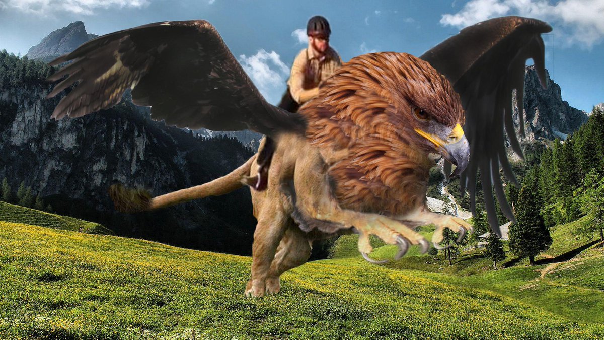 Jakob559's tweet photo. fun with photoshop http://t.co/S7XQVAFOCN