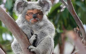 Jakob559's tweet photo. fun with photoshop http://t.co/S7XQVAFOCN