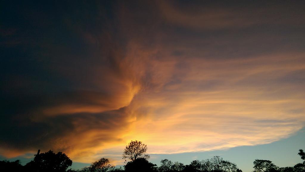 Leidy Díaz tweet media