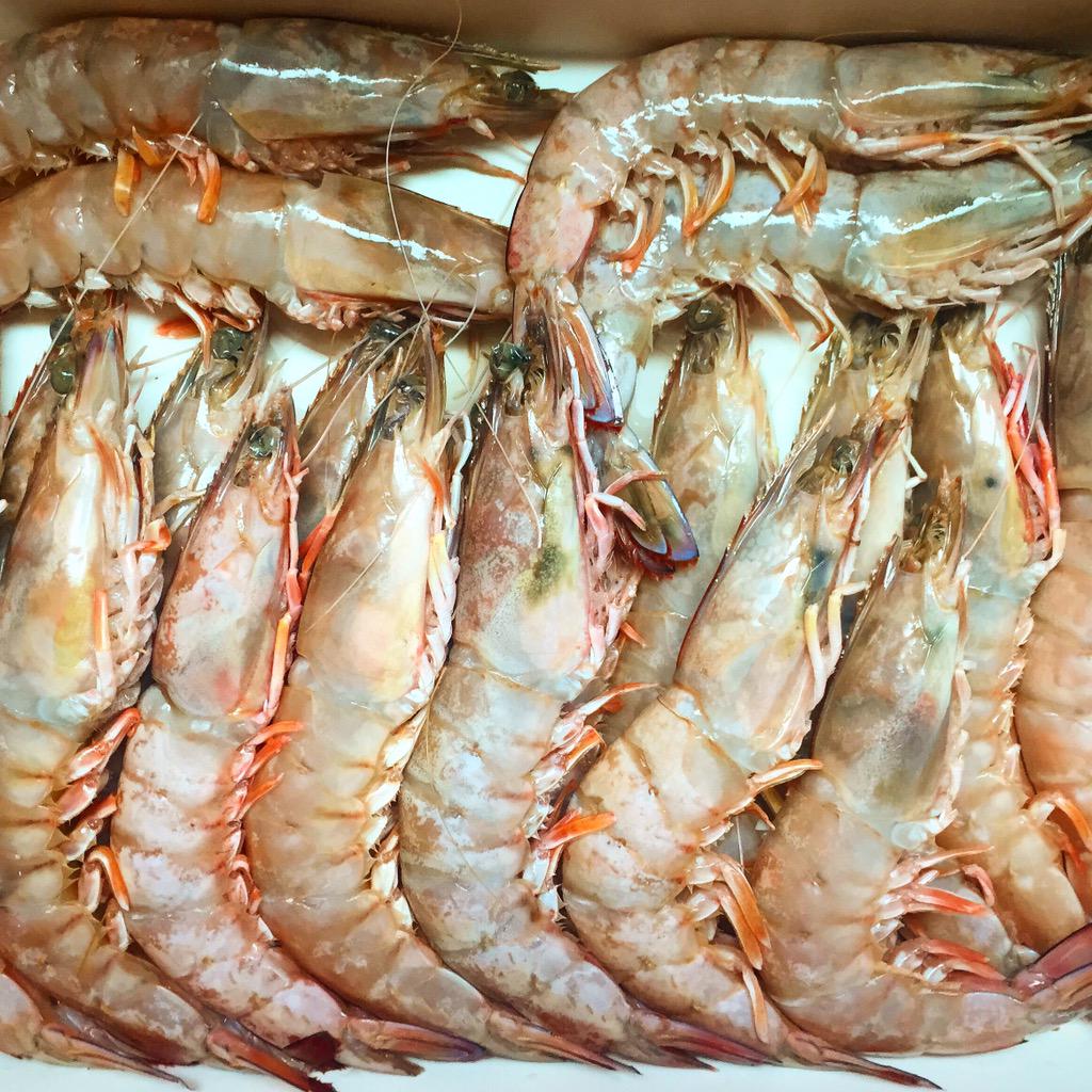 Supernormal tweet media