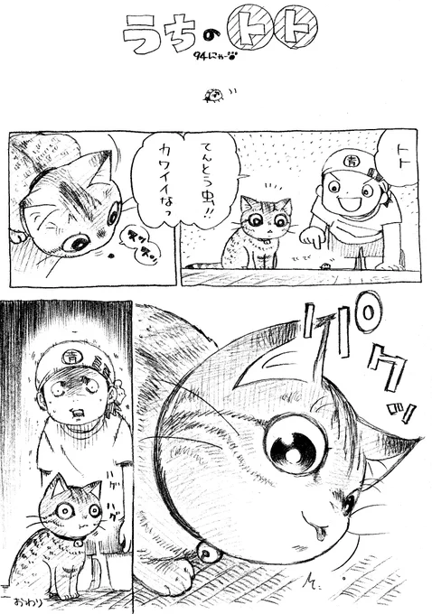 ねこまんが。第94話。熱中症に気をつけて、こまめな水分補給を。のどが渇く前に飲みましょう。 