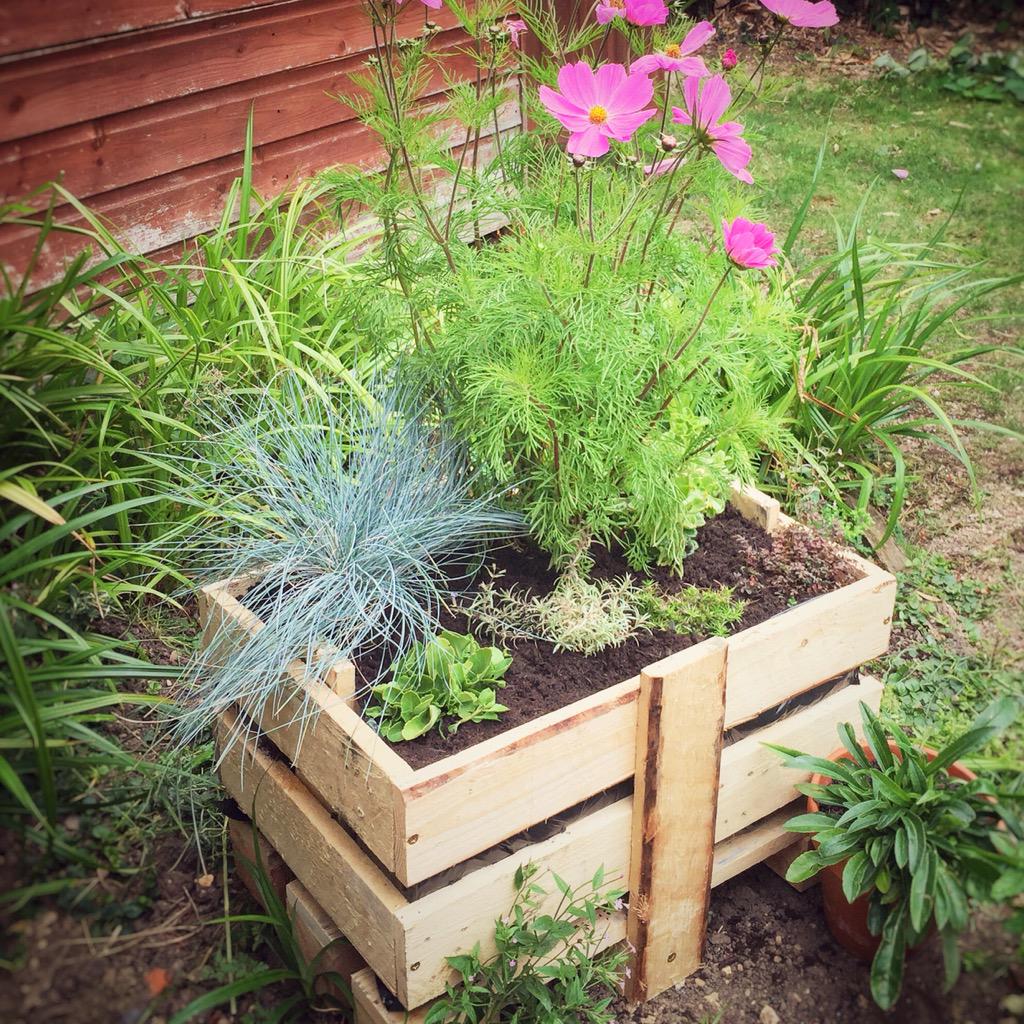 Enjoyed making another planter from an old pallet today #gardening #gardeninghack #sunshine #flowers