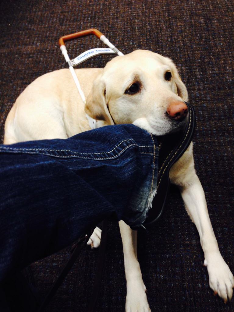 MommieswGuides's tweet image. Talking with teenagers
#selfadvocacy #blindteenagers #preparingforfuture #guidedoglifestyle
facebook.com/mommieswithgui…