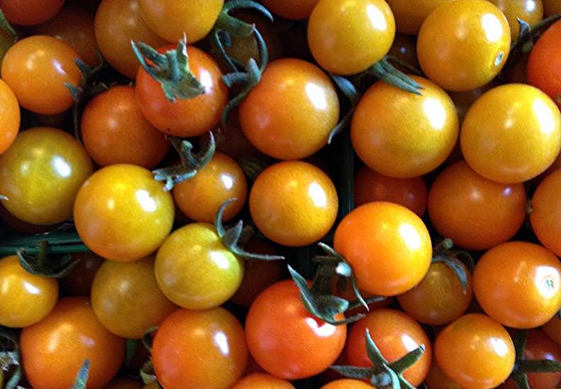 McGrathFarm's tweet photo. Have you checked this out?August is TOMATO MANIA on the farm ! FREE TOMATOES ? http://t.co/7ehnnFanu4 http://t.co/FCFeaQUaPC