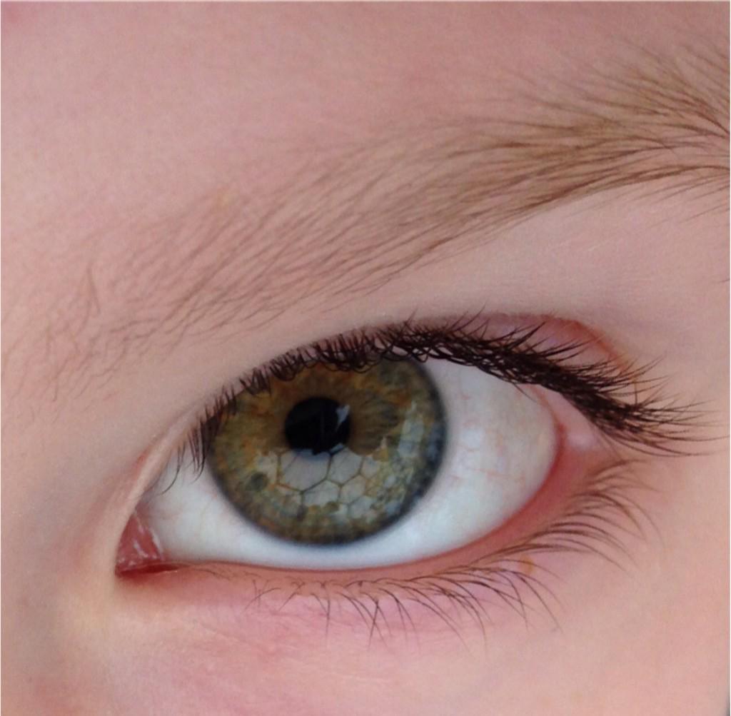 Reflecting on our day at Eden.   #edenphotocomp