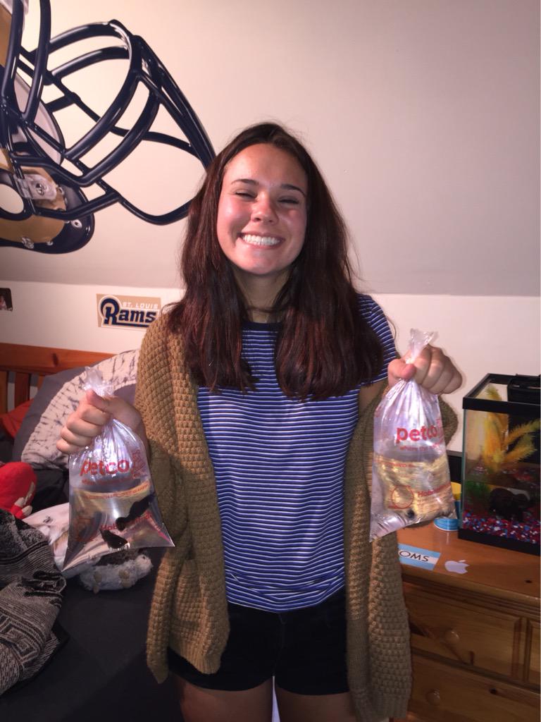 SamKornfeld1's tweet image. Calli and I got some fishies today #FirstPets