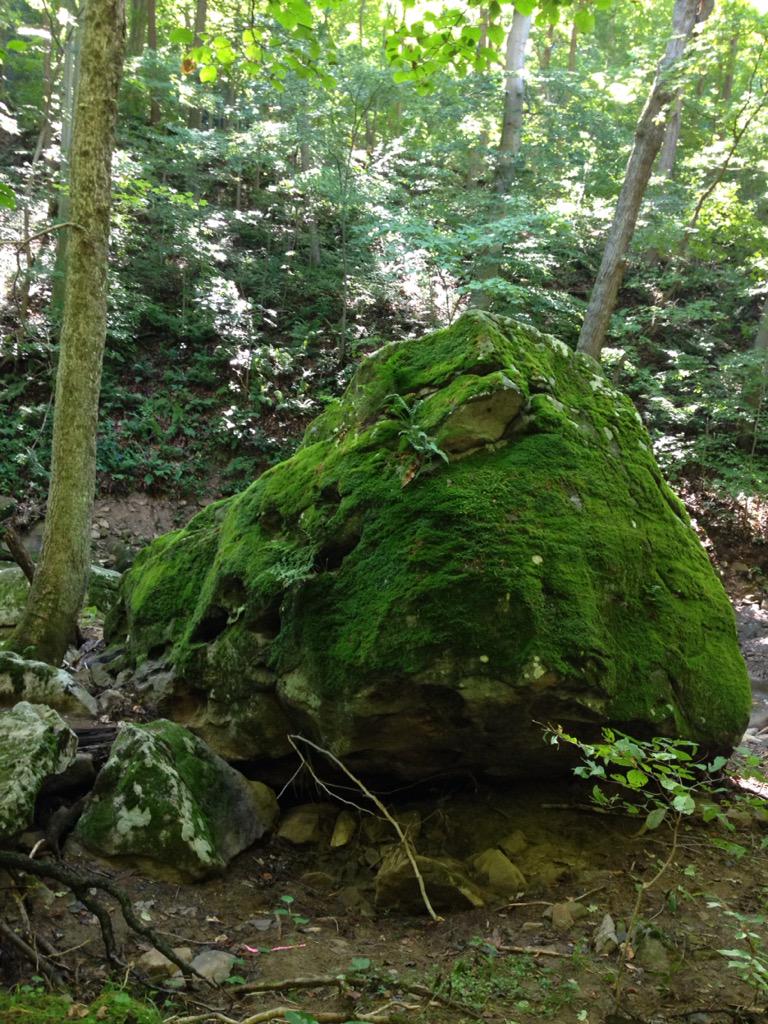 grimfolk's tweet photo. A great day for a hike. I was able to get some great field recording done too. http://t.co/BA4dUYEexS