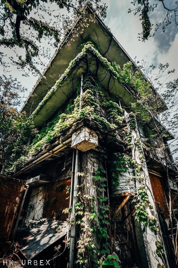 photorator1's tweet image. Building being digeste #abandoned #building #digested #nature #japan #photography photorator.com/photo/62178