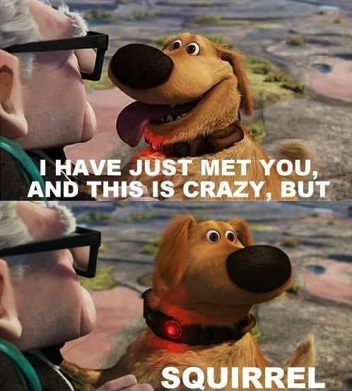 2DogsAtHome's tweet image. Some think twitter marketing is hard. This might make it easier. Not another shiny object... free.tweetlead.io/ref/D50419