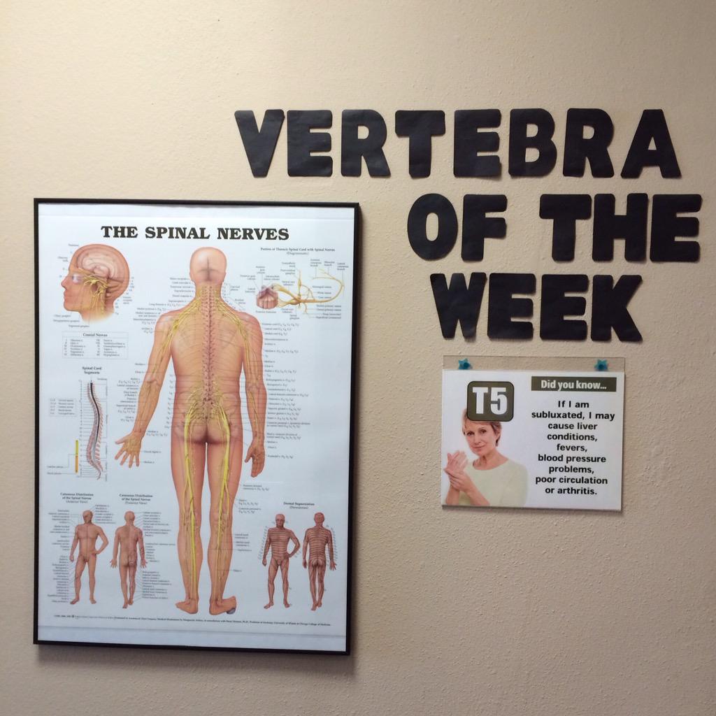 #WellnessWednesday #VertebraOfTheWeek #T9 If you have issues such as - #PoorCirculation #LiverConditions #Arthitis ..