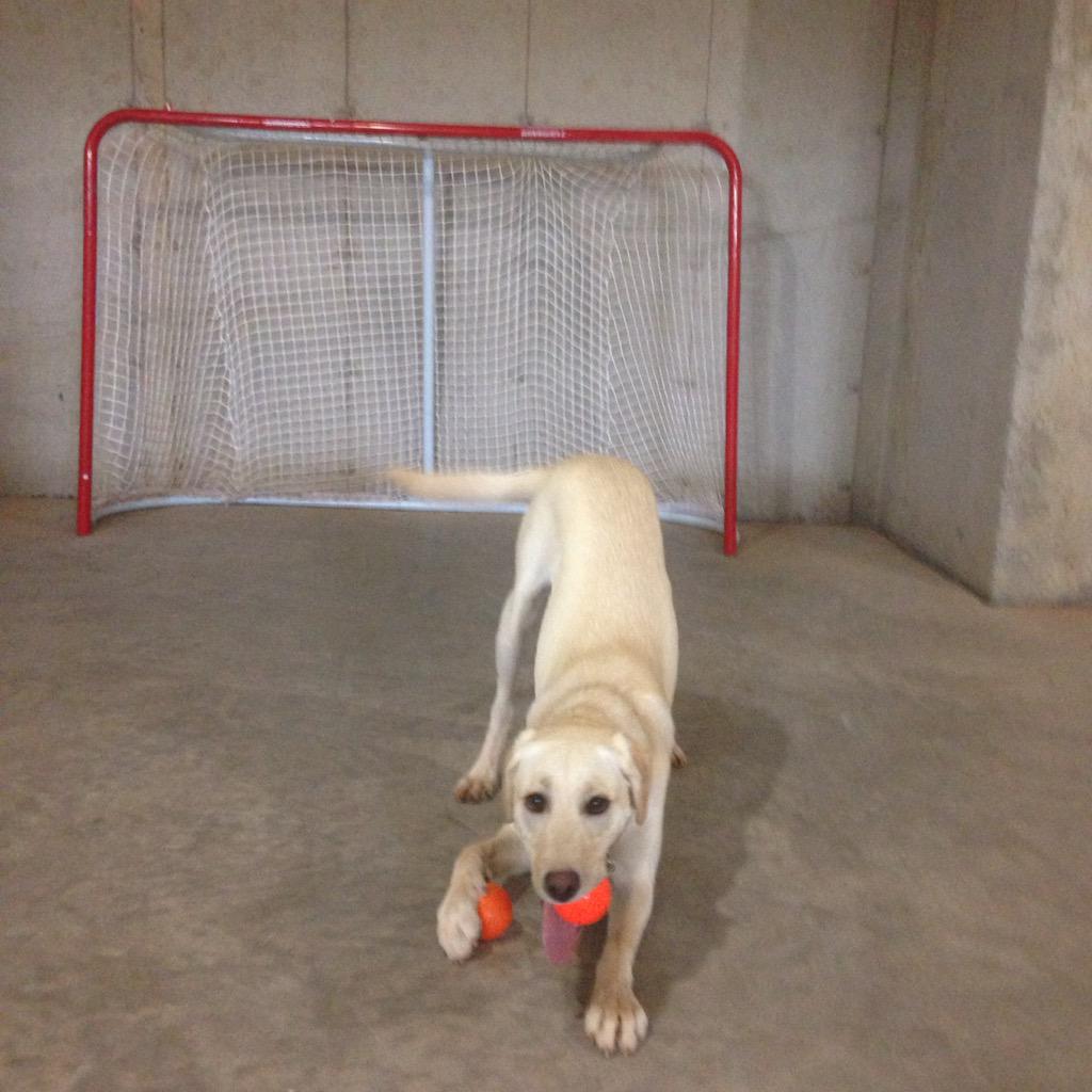 MitchBryanton's tweet photo. The definition of ball hog #cherrypicker http://t.co/J6AuQn8Ckm