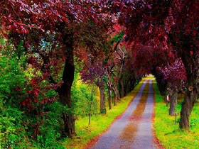 letsgetaway_'s tweet photo. spain is just amazing http://t.co/vLSJRxofAF