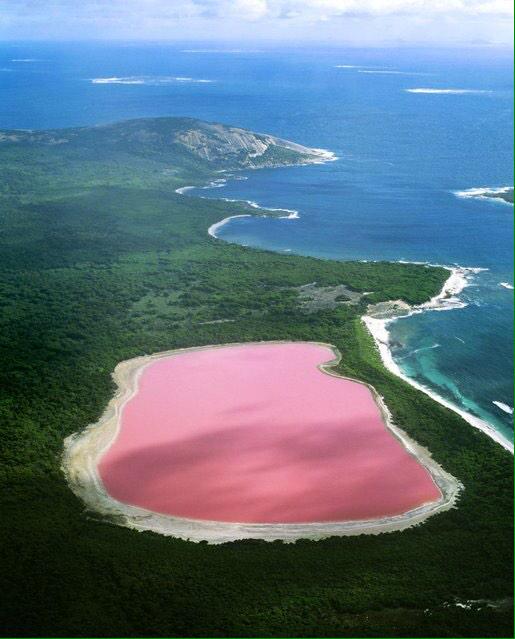 letsgetaway_'s tweet photo. Hiller Lake. scientists have found that a certain type of algae changes the color of the water to pink 👀 http://t.co/w159MiO6T9
