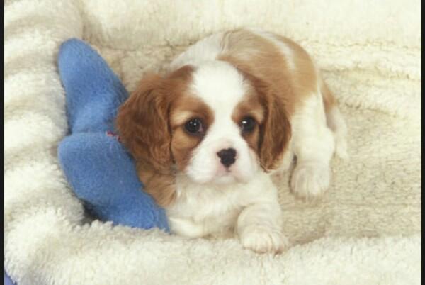 HugkeithTat's tweet photo. 3 months bitch you'll be under my tree  😊 http://t.co/BBDPwFTpxk