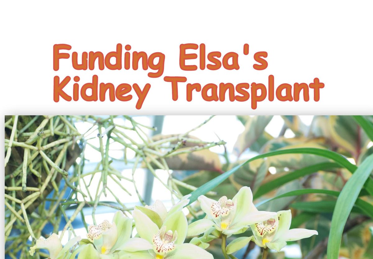 Kidney Warriors Foundation (@kwf201217) on Twitter photo 